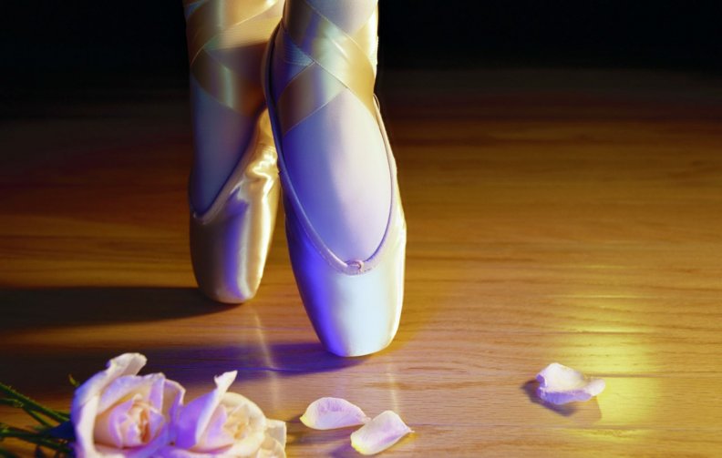 ballet_slippers.jpg