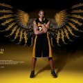 Kobe Bryant _ Black and Gold