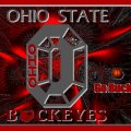 OHIO STATE BASKETBALL GO BUCKS!