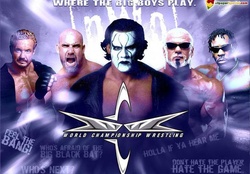 WCW's Superstars