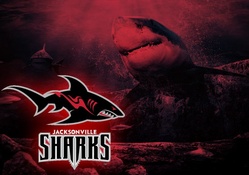 Jacksonville Sharks Wallpaper