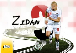 Mohamed Zidan