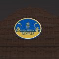Rajasthan Royals _RR