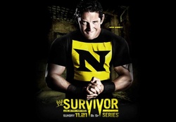 WWE Survivor Series 2010