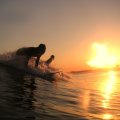 Surfing The Sunset
