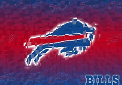 NFL Buffalo Bills