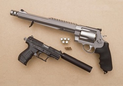 Smith &amp; Wesson bone collector .500magnum compare to the tiny Walter p22