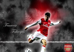 Arsenal's Fabregas
