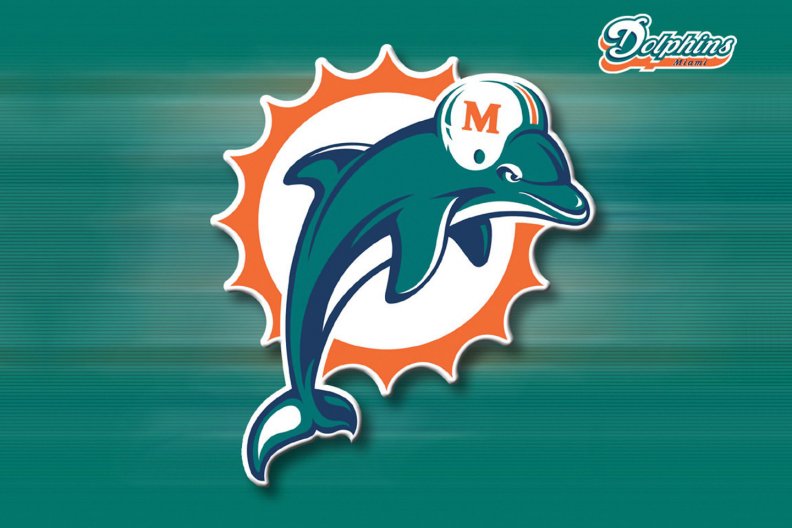 Miami Dolphins Back Blur