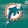 Miami Dolphins Back Blur