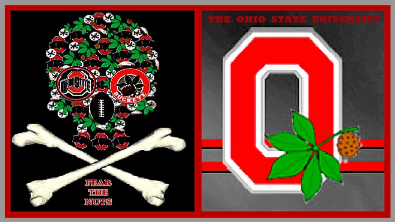 THE OSU FEAR THE NUTS