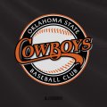 Oklahoma State Baseball Club