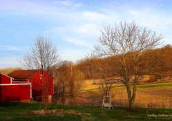 Lovely Spring Evening on the Farm