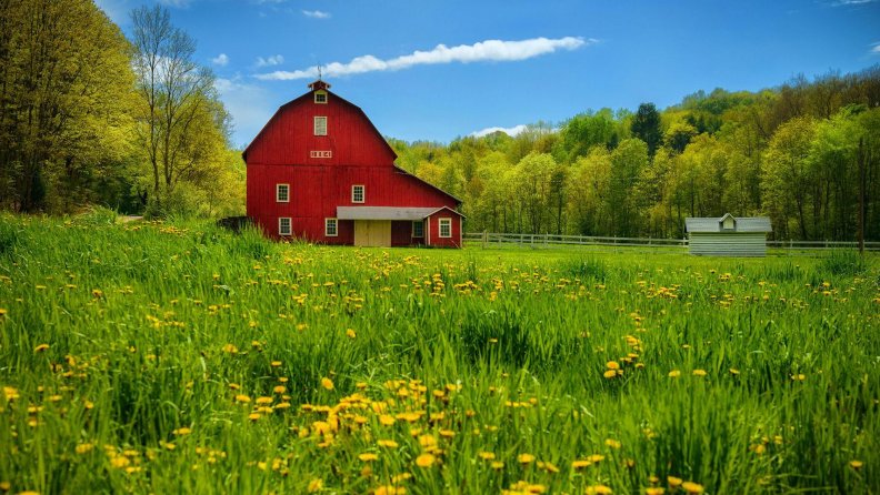 old_red_barn_on_a_beautiful_summer_day.jpg