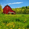 old red barn on a beautiful summer day