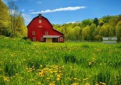 old red barn on a beautiful summer day