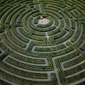 The largest plant maze in the world, at Reignac_sur_Indre, Indre_et_Loire Department, France