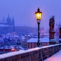 Prague _ bridge _ winter