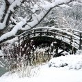 Bridge over frozen River