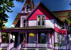 Unusual Purple House