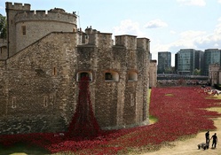 WWI Centenary at the Tower of London