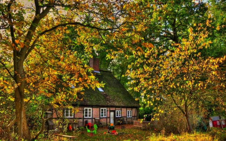 House and Autumn