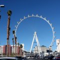 The High Roller