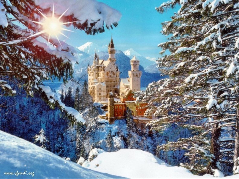 german_castle_in_winter_as_seen_between_the_trees.jpg