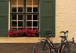 bicycles under a lovely window