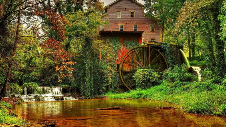 old_forest_mill_with_a_giant_wheel.jpg