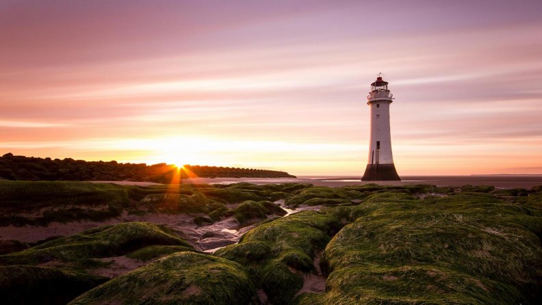 lighthouse on a moss covered beach at sunrise
