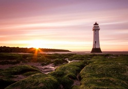 lighthouse on a moss covered beach at sunrise