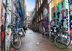bicycles in a graffiti painted alleyway in amsterdam
