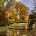 lovely bridge in a netherlands park