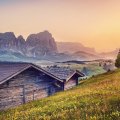 wooden cabins on an alpine meadow in morning hdr