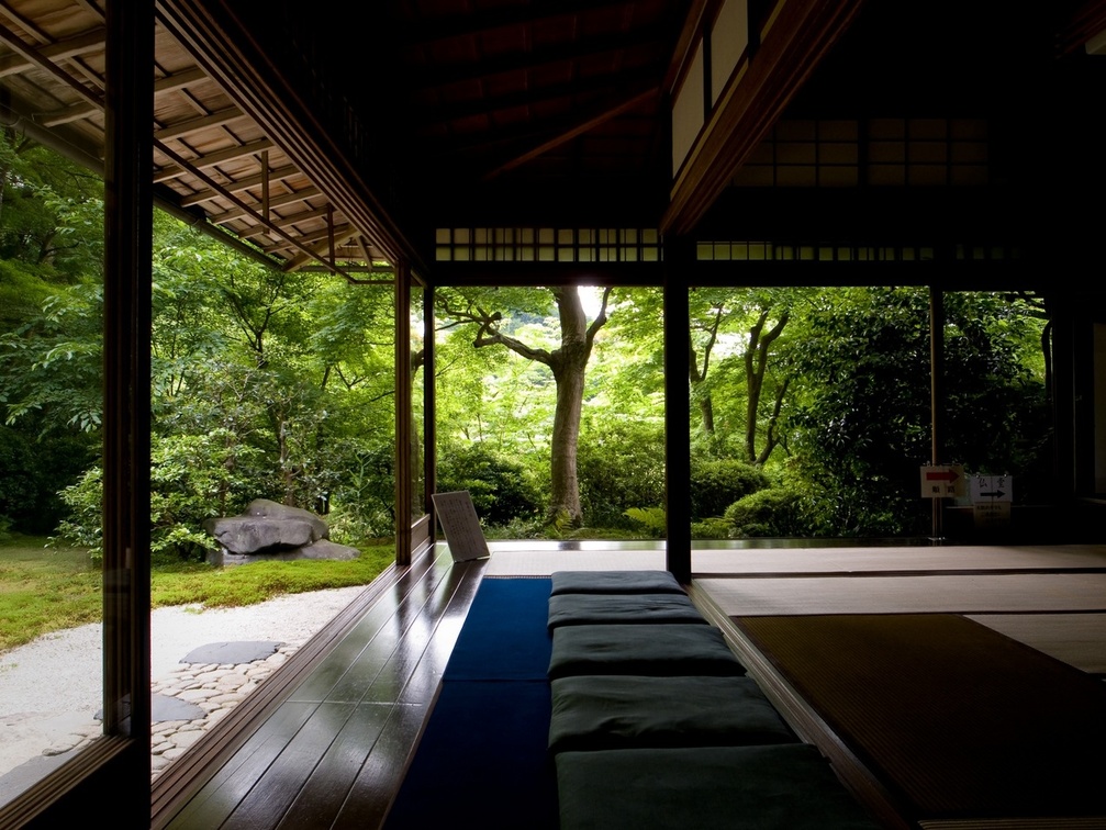 Japanese living room &amp; garden