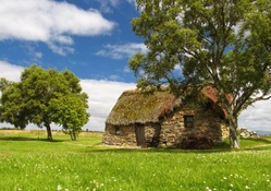 Small Cottage in Field