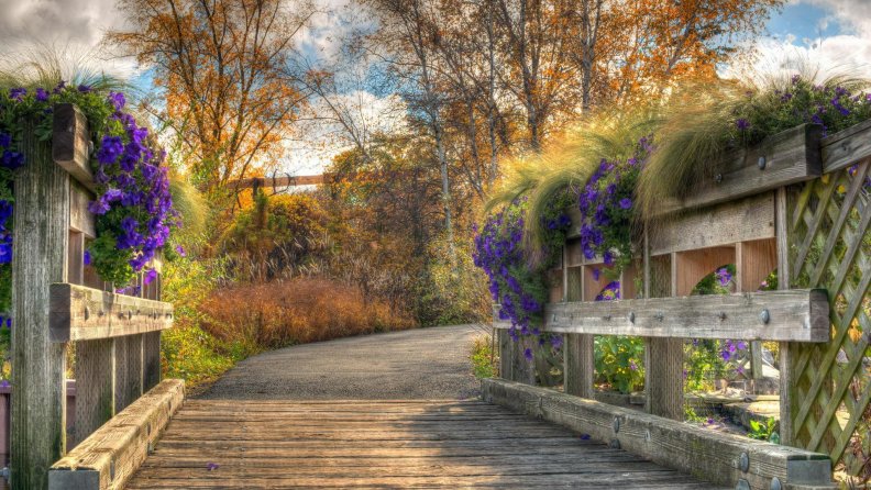 flowers on a wooden bridge on an autumn day hdr