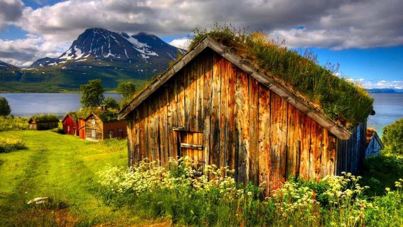 traditional_norwegian_houses_hdr.jpg