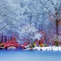 lovely red bridge on a park pond in winter