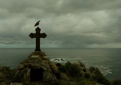 bird standing on a memorial cross at a seacoast