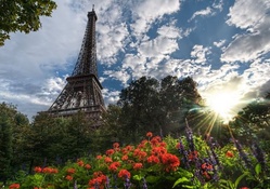view of the eiffel tower from a beautiful garden