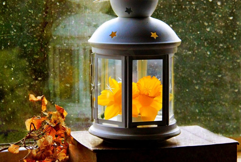 flower_lamp.jpg