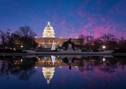 United States Capitol Reflection