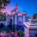 Disneyland Pink Castle