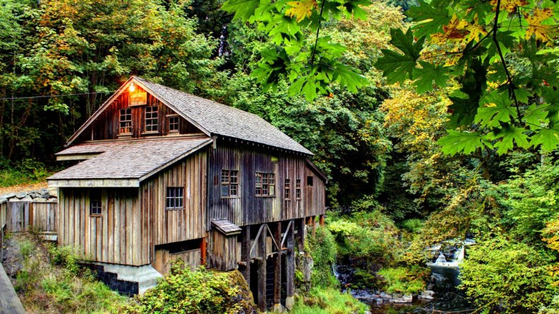 grist_mill_in_the_forest.jpg
