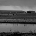 horses_and_farm_houses_in_black_and_white.jpg