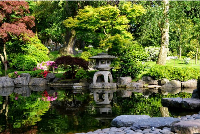 Kioto's garden London
