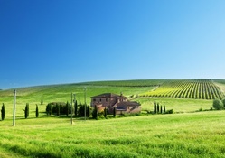 a tuscan farm on a bright summer day