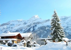 chalet on a sunny winter day